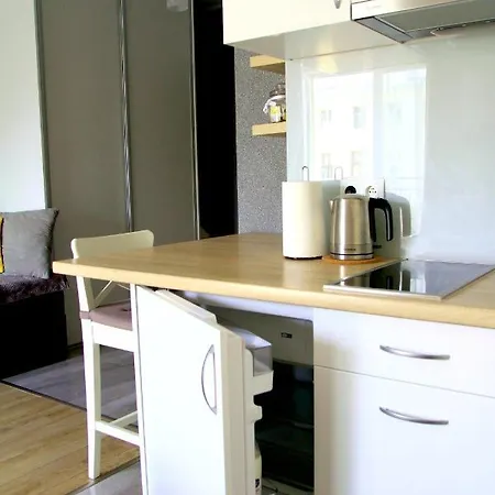 Apartament Wieckowski - Apartamentylove, Prywatny Garaz Podziemny, Centrum, Self Chech - In, F-Vat * 우치