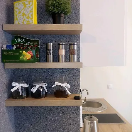 Apartament Wieckowski - Apartamentylove, Prywatny Garaz Podziemny, Centrum, Self Chech - In, F-Vat * 우치