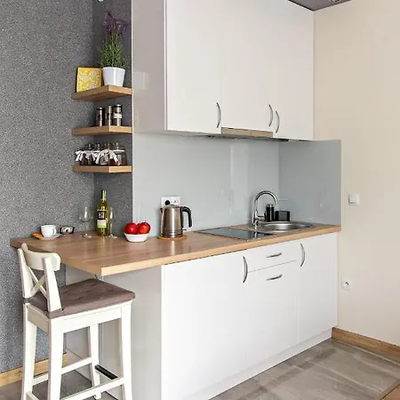 Apartament Wieckowski - Apartamentylove, Prywatny Garaz Podziemny, Centrum, Self Chech - In, F-Vat 아파트 우치
