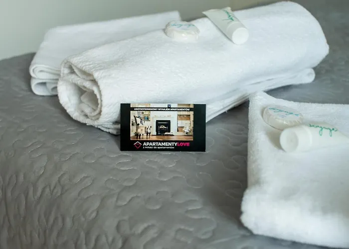 Wieckowski - Apartamentylove, Prywatny Garaz Podziemny, Centrum, Self Chech - In, F-vat